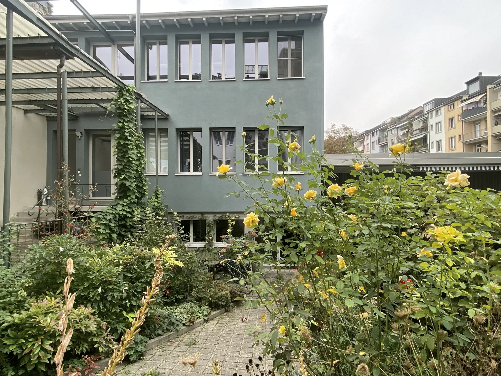 Büro von Clever.Care in Basel: grünes Gebäude im Hinterhof mit Garten und gelben Rosen
